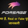 Forsage से पैसे कमा सकते है